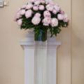 20090529_MG_2064.jpg